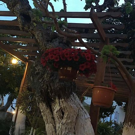 פיסורי The Bunch Of Grapes Inn מראה חיצוני תמונה